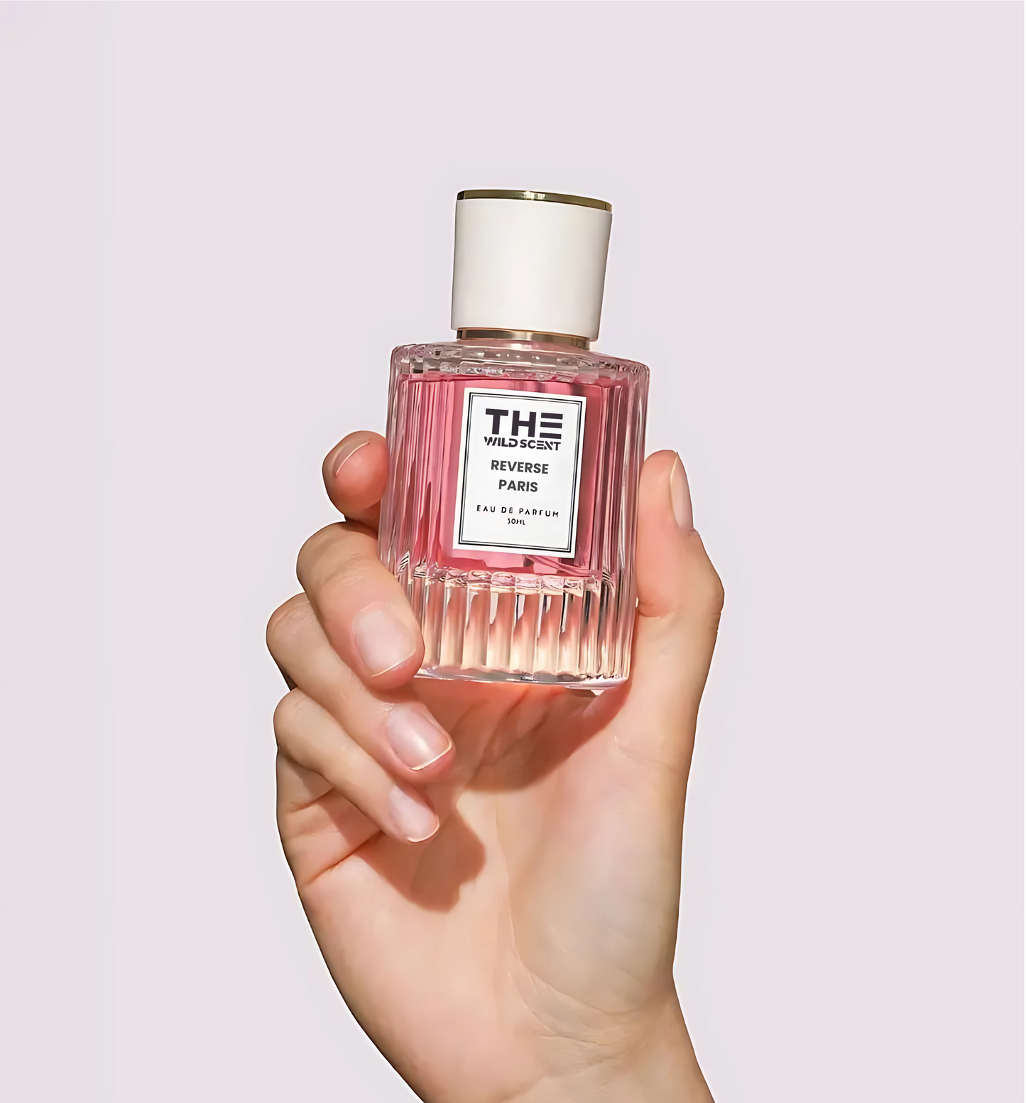 Pheromone Perfume Collection