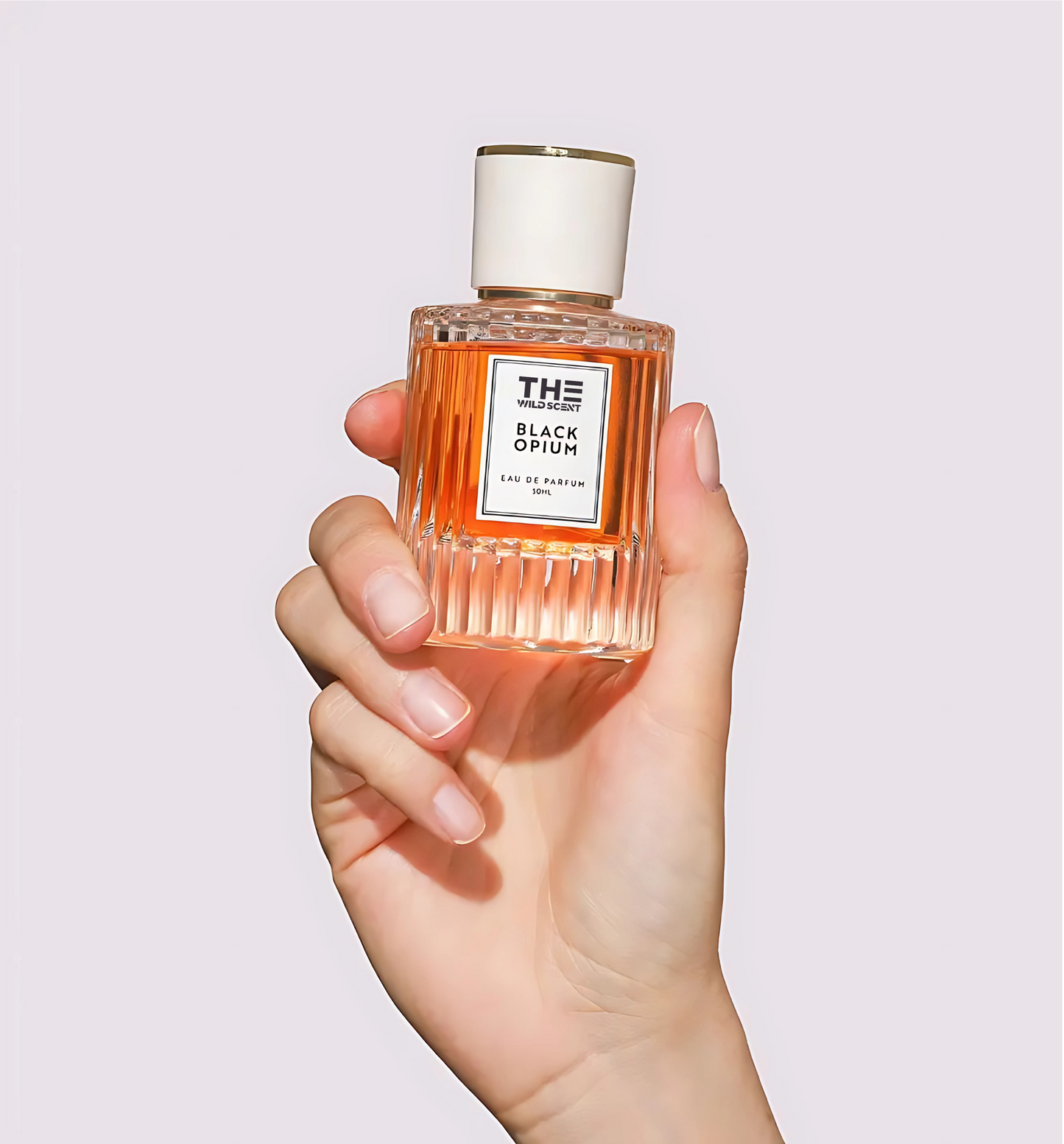 Pheromone Perfume Collection